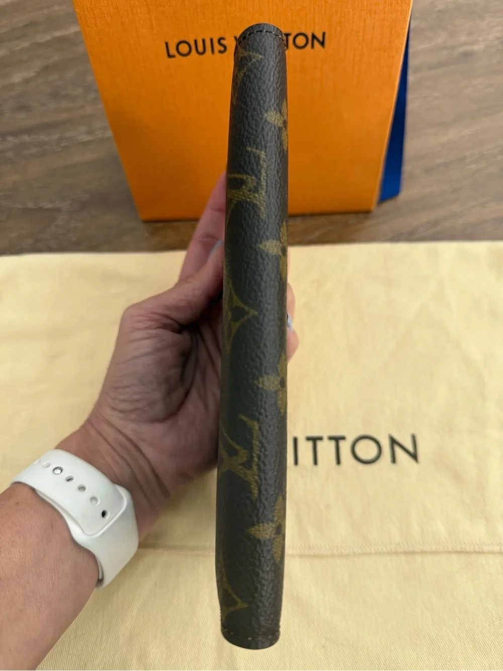 Louis Vuitton Vintage Checkbook / Long Wallet